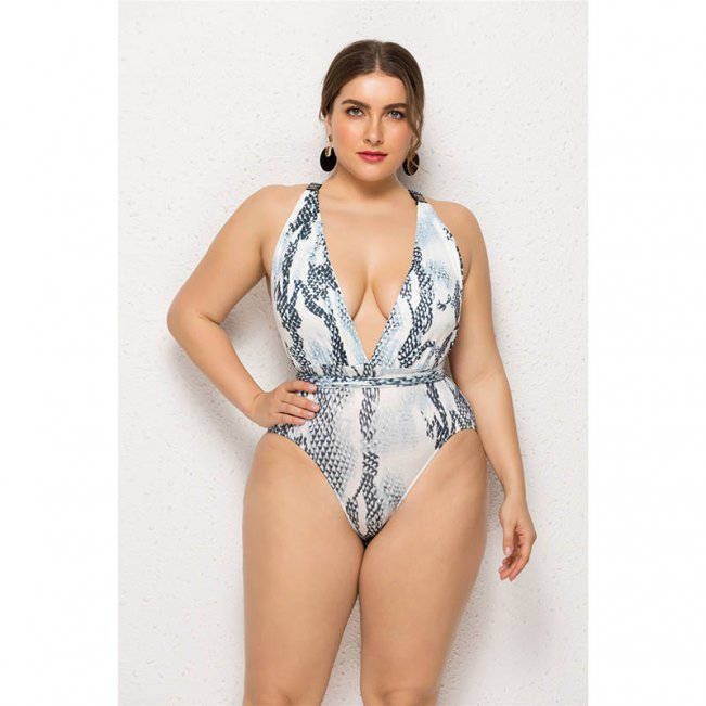 Plus Plunge Neck Print One-Piece Swimsuit 88211592508#